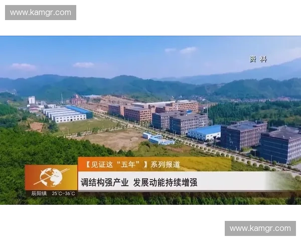 聚焦台湾足球联赛发展动能与未来竞争力全景趋势深度解析蓝图展望